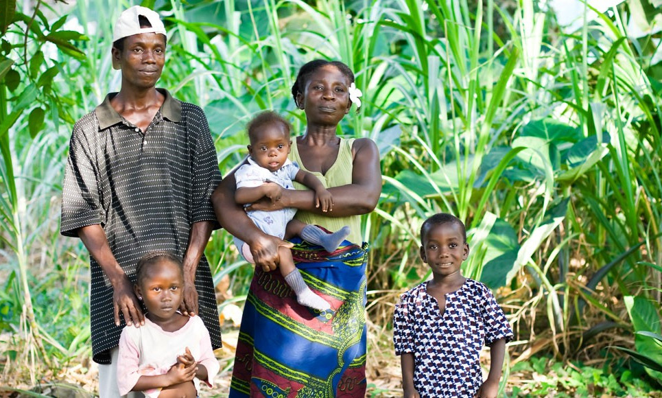 Executive Certificate in Microinsurance